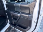 2019 F-150 Thumbnail 13