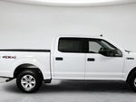 2019 F-150 Thumbnail 4