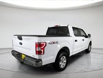 2019 F-150 Thumbnail 5