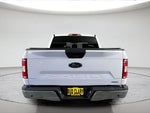 2019 F-150 Thumbnail 7