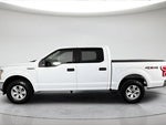 2019 F-150 Thumbnail 8