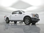 2019 F-150 Thumbnail 4