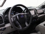 2019 F-150 Thumbnail 7