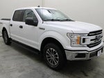 2019 F-150 Thumbnail 13