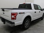 2019 F-150 Thumbnail 14
