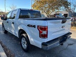2020 F-150 Thumbnail 4