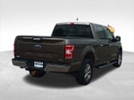 2020 F-150 Thumbnail 7