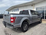 2020 F-150 Thumbnail 4