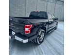 2020 F-150 Thumbnail 4