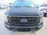 2021 F-150 Thumbnail 2