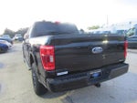 2021 F-150 Thumbnail 4