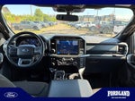 2021 F-150 Thumbnail 19