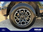 2021 F-150 Thumbnail 25