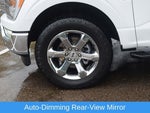 2021 F-150 Thumbnail 28
