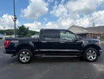 2021 F-150 Thumbnail 2
