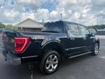 2021 F-150 Thumbnail 3