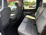 2021 F-150 Thumbnail 16