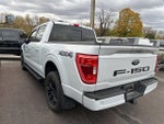 2021 F-150 Thumbnail 4