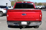 2021 F-150 Thumbnail 4