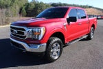 2021 F-150 Thumbnail 7
