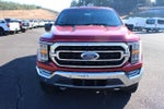 2021 F-150 Thumbnail 8