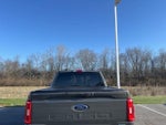 2021 F-150 Thumbnail 5