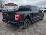 2021 F-150 Thumbnail 7