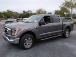 2021 F-150 Thumbnail 8