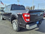 2021 F-150 Thumbnail 3