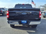 2021 F-150 Thumbnail 4