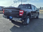 2021 F-150 Thumbnail 5