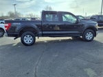 2021 F-150 Thumbnail 6