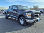 2021 F-150 Thumbnail 7