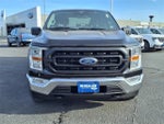 2021 F-150 Thumbnail 8