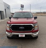 2021 F-150 Thumbnail 3