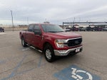 2021 F-150 Thumbnail 4