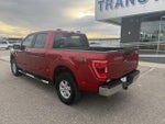 2021 F-150 Thumbnail 7