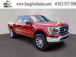 2021 F-150 Thumbnail 1