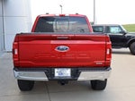 2021 F-150 Thumbnail 4