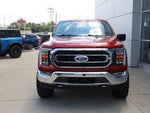 2021 F-150 Thumbnail 6