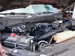 2021 F-150 Thumbnail 13