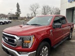 2021 F-150 Thumbnail 4