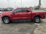 2021 F-150 Thumbnail 5