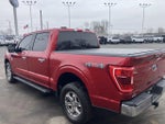 2021 F-150 Thumbnail 6