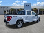 2021 F-150 Thumbnail 4