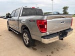 2022 F-150 Thumbnail 6