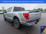 2022 F-150 Thumbnail 15