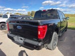 2022 F-150 Thumbnail 8