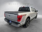 2022 F-150 Thumbnail 13