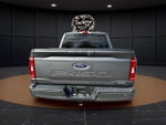 2022 F-150 Thumbnail 6